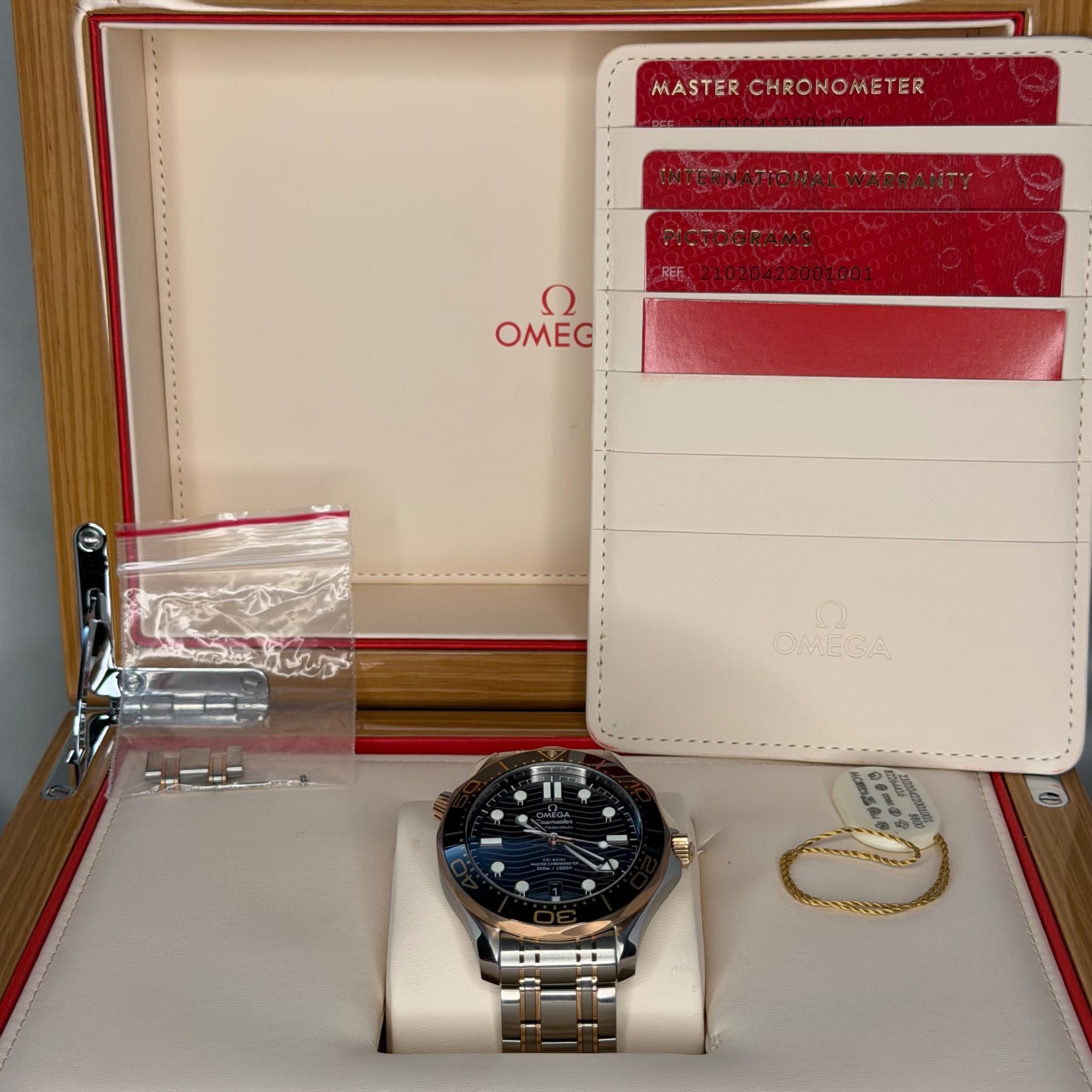 Omega Seamaster Sedna Gold/Steel (Ref. 21020422001001) — photo 2