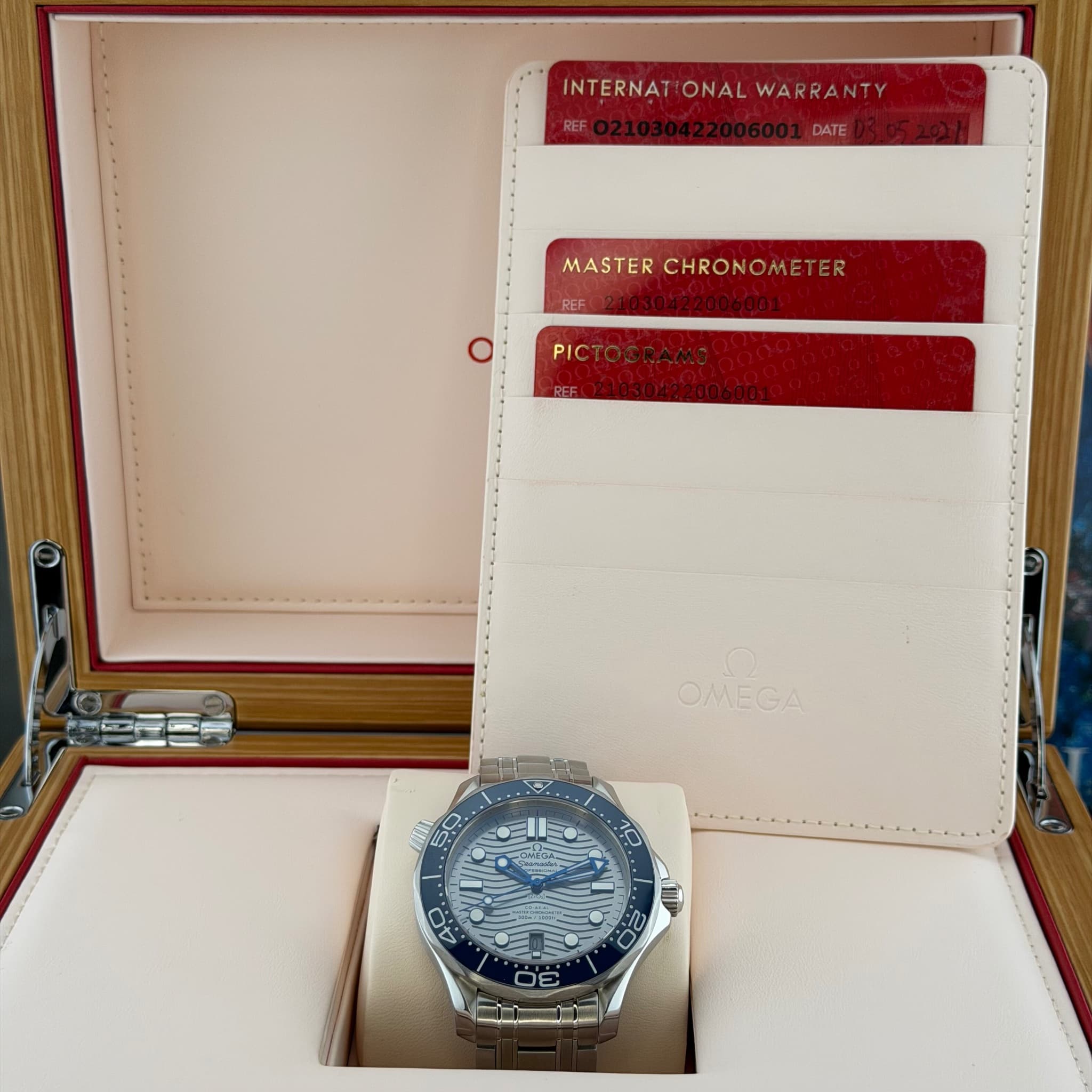 Omega Seamaster 300M Grey Dial (Ref. 21030422006001) — photo 16